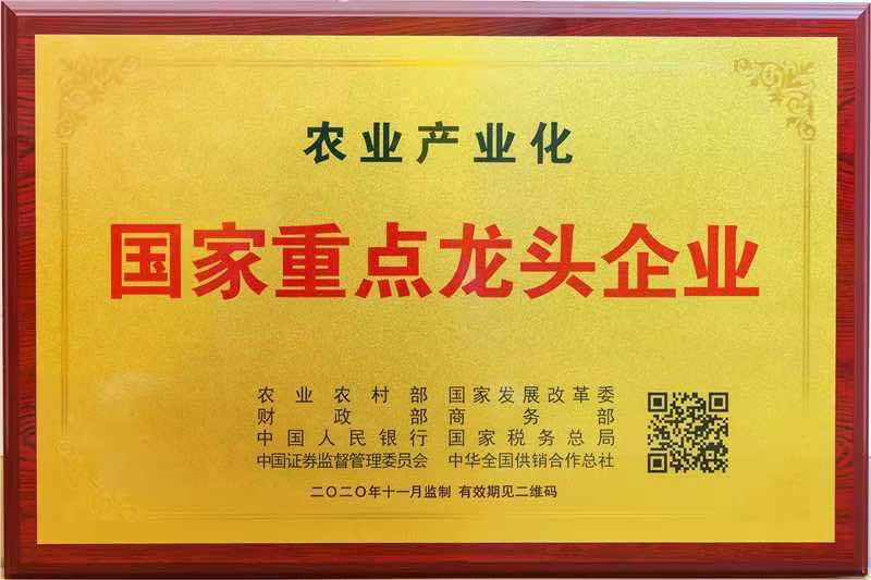 國家重點龍頭企業(yè)